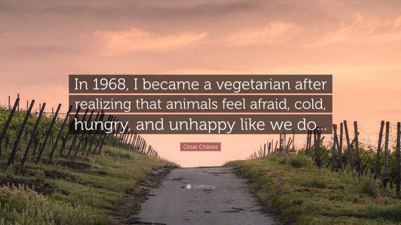César Chávez Quote: “In 1968, I became a vegetarian after realizing that animals feel afraid, cold, hungry, and unhappy like we do...”