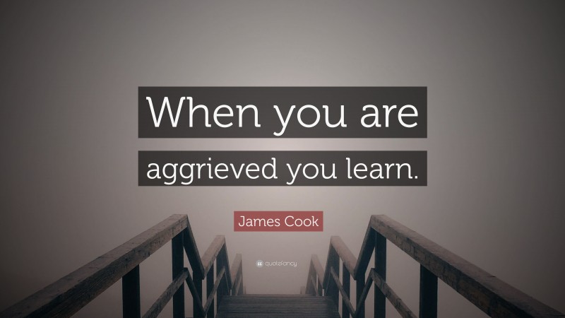 James Cook Quote: “When you are aggrieved you learn.”