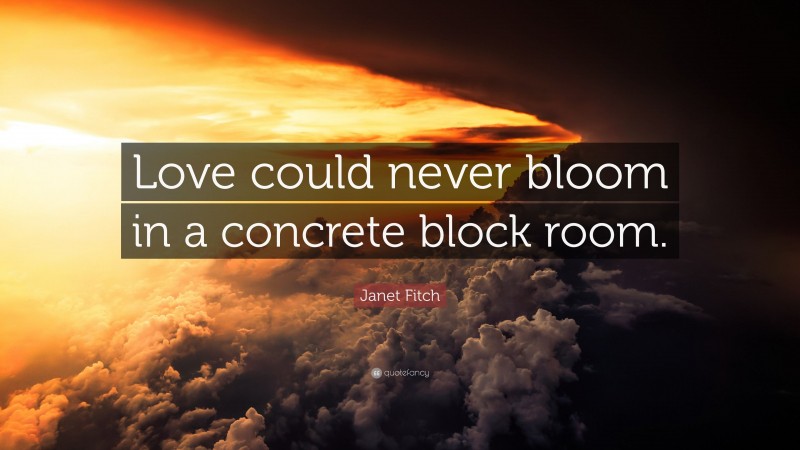 Janet Fitch Quote: “Love could never bloom in a concrete block room.”