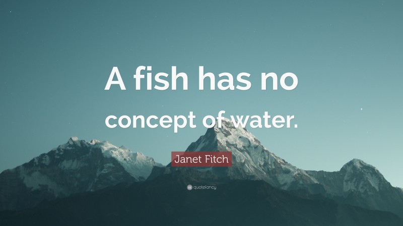 Janet Fitch Quote: “A fish has no concept of water.”