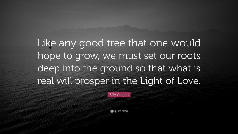 Billy Corgan Quote: “Like any good tree that one would hope to grow, we must set our roots deep into the ground so that what is real will prosper in the Light of Love.”