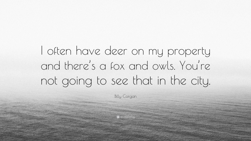 Billy Corgan Quote: “I often have deer on my property and there’s a fox and owls. You’re not going to see that in the city.”