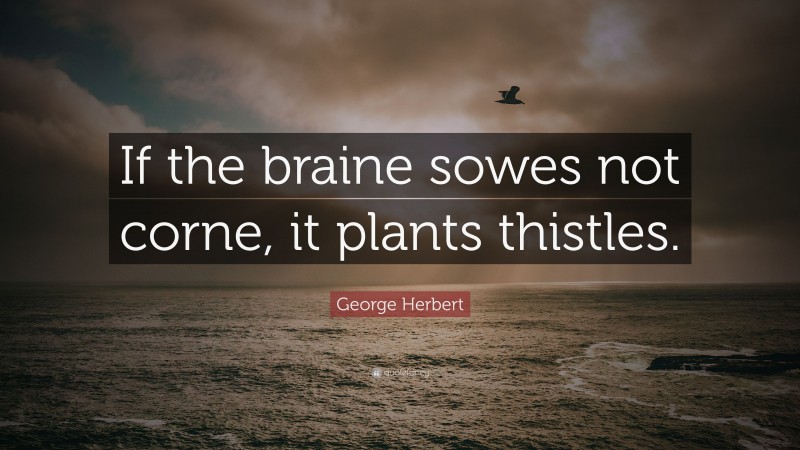 George Herbert Quote: “If the braine sowes not corne, it plants thistles.”