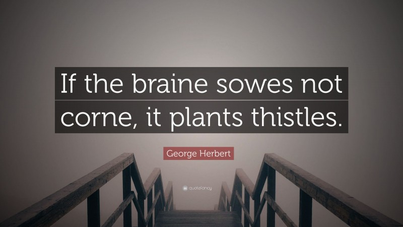 George Herbert Quote: “If the braine sowes not corne, it plants thistles.”