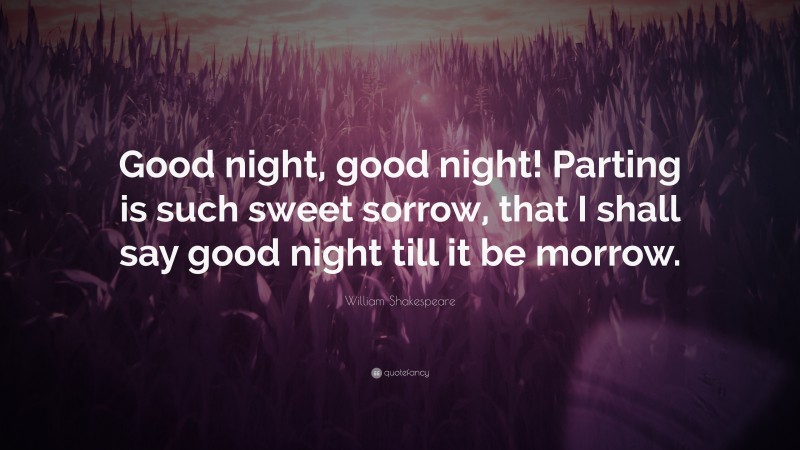 William Shakespeare Quote: “Good night, good night! Parting is such sweet sorrow, that I shall say good night till it be morrow.”
