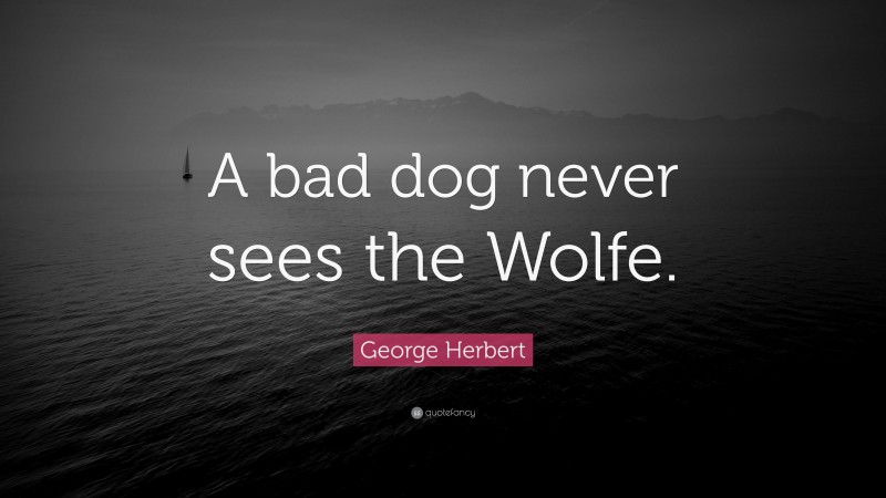 George Herbert Quote: “A bad dog never sees the Wolfe.”