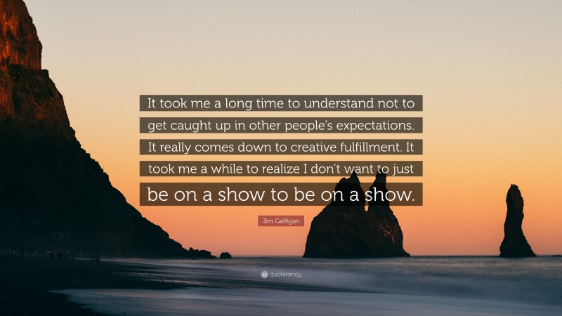 Jim Gaffigan Quote: “It took me a long time to understand not to get caught up in other people’s expectations. It really comes down to creative fulfillment. It took me a while to realize I don’t want to just be on a show to be on a show.”