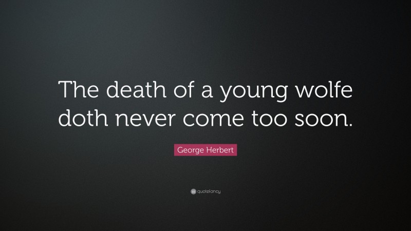 George Herbert Quote: “The death of a young wolfe doth never come too soon.”
