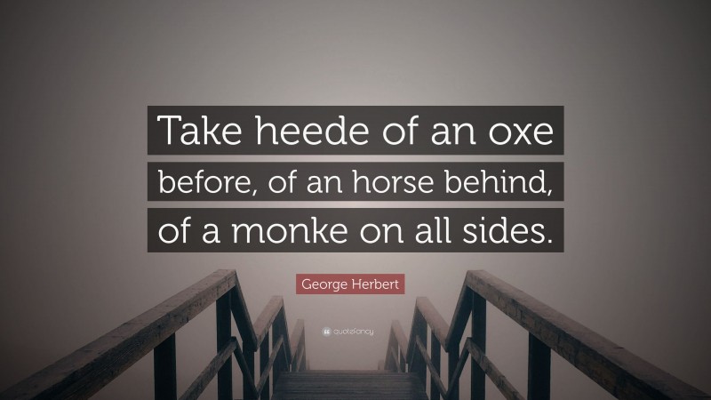 George Herbert Quote: “Take heede of an oxe before, of an horse behind, of a monke on all sides.”