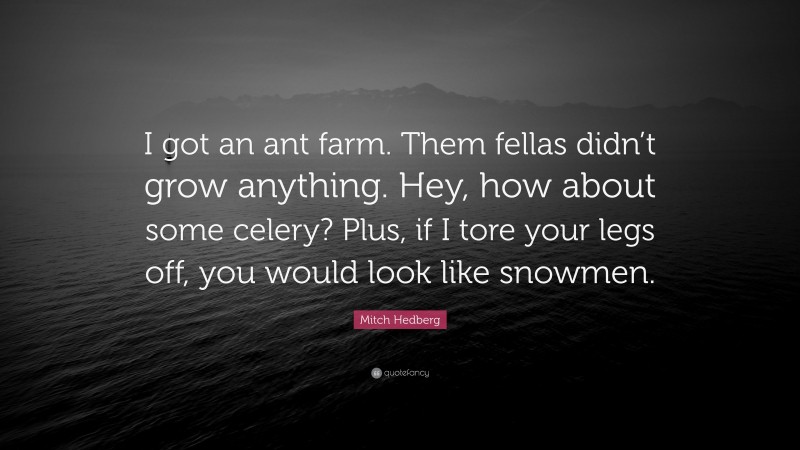 Mitch Hedberg Quote: “I got an ant farm. Them fellas didn’t grow anything. Hey, how about some celery? Plus, if I tore your legs off, you would look like snowmen.”