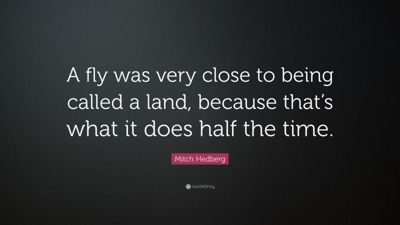 Mitch Hedberg Quote: “A fly was very close to being called a land, because that’s what it does half the time.”