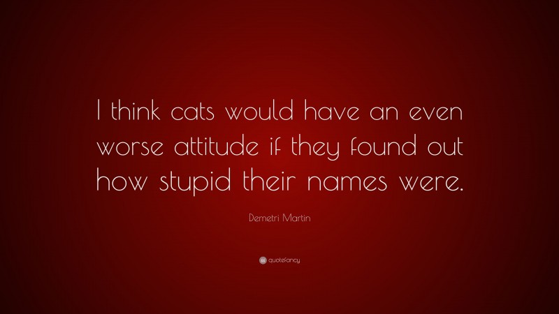 Demetri Martin Quote: “I think cats would have an even worse attitude if they found out how stupid their names were.”