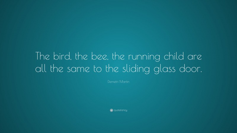 Demetri Martin Quote: “The bird, the bee, the running child are all the same to the sliding glass door.”