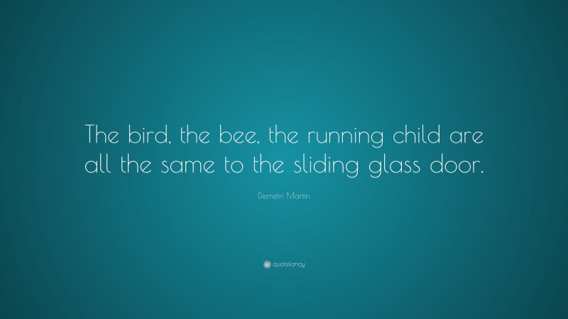 Demetri Martin Quote: “The bird, the bee, the running child are all the same to the sliding glass door.”