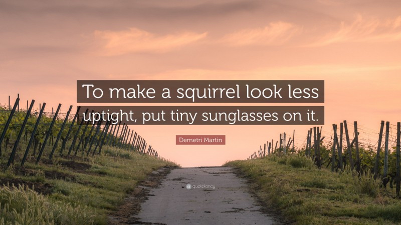 Demetri Martin Quote: “To make a squirrel look less uptight, put tiny sunglasses on it.”