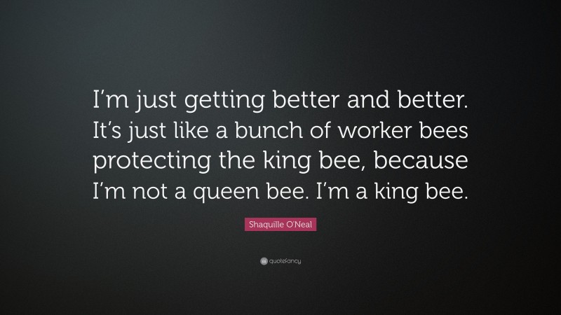 Shaquille O'Neal Quote: “I’m just getting better and better. It’s just like a bunch of worker bees protecting the king bee, because I’m not a queen bee. I’m a king bee.”