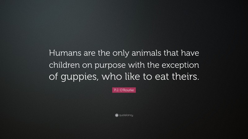 P.J. O'Rourke Quote: “Humans are the only animals that have children on purpose with the exception of guppies, who like to eat theirs.”