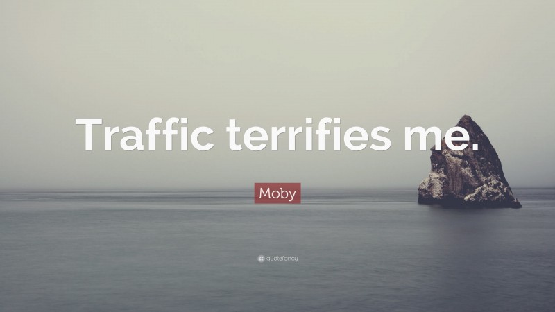 Moby Quote: “Traffic terrifies me.”