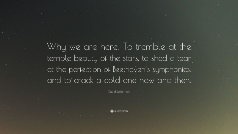 David Letterman Quote: “Why we are here: To tremble at the terrible beauty of the stars, to shed a tear at the perfection of Beethoven’s symphonies, and to crack a cold one now and then.”