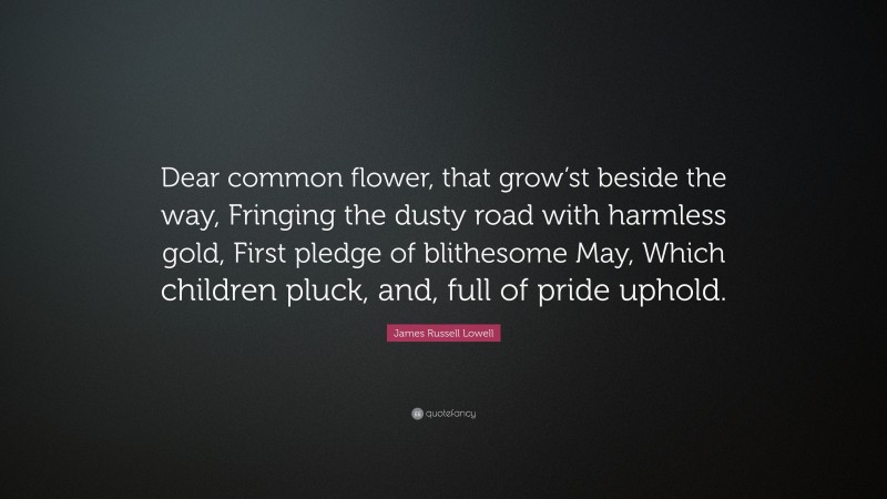 James Russell Lowell Quote: “Dear common flower, that grow’st beside the way, Fringing the dusty road with harmless gold, First pledge of blithesome May, Which children pluck, and, full of pride uphold.”