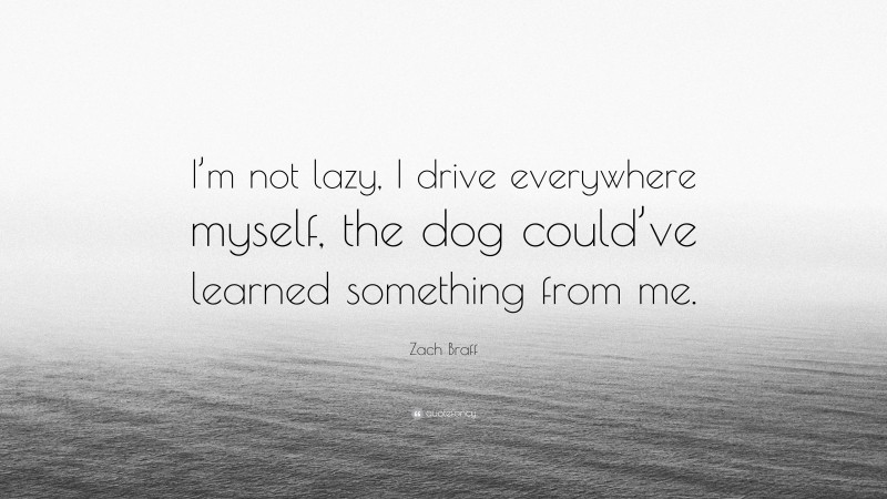 Zach Braff Quote: “I’m not lazy, I drive everywhere myself, the dog could’ve learned something from me.”