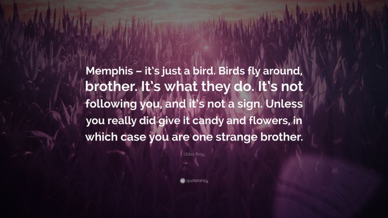 Libba Bray Quote: “Memphis – it’s just a bird. Birds fly around, brother. It’s what they do. It’s not following you, and it’s not a sign. Unless you really did give it candy and flowers, in which case you are one strange brother.”