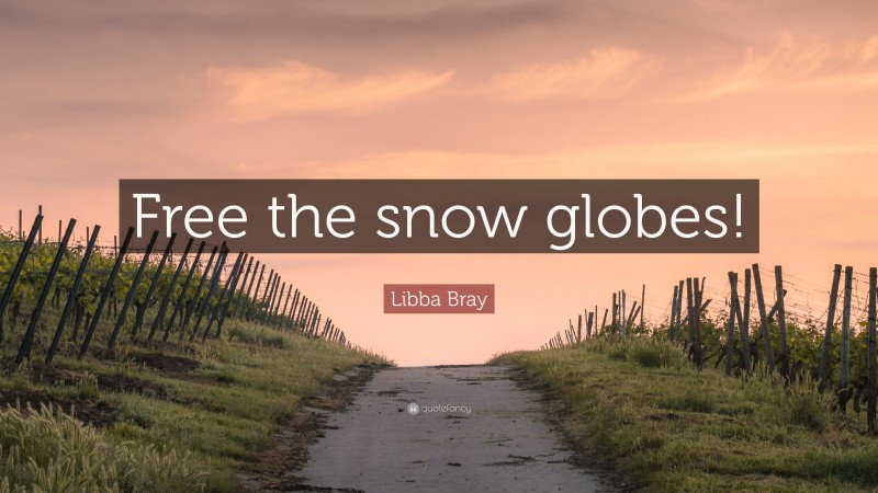 Libba Bray Quote: “Free the snow globes!”