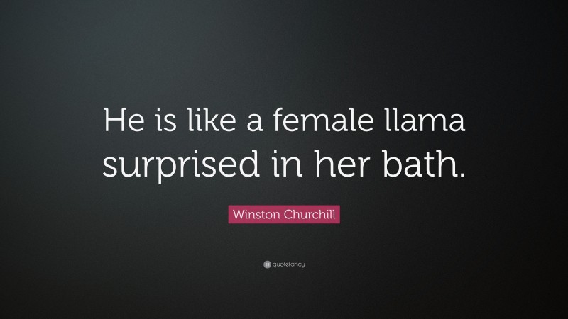 Winston Churchill Quote: “He is like a female llama surprised in her bath.”