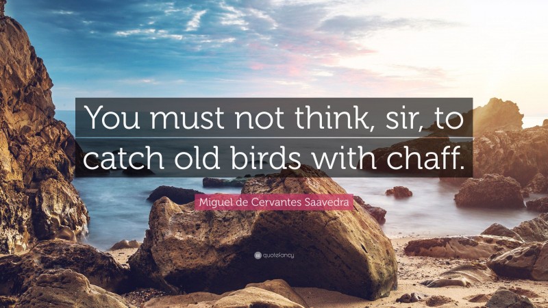 Miguel de Cervantes Saavedra Quote: “You must not think, sir, to catch old birds with chaff.”