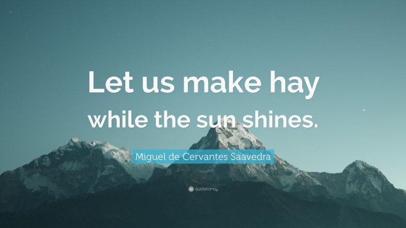 Miguel de Cervantes Saavedra Quote: “Let us make hay while the sun shines.”