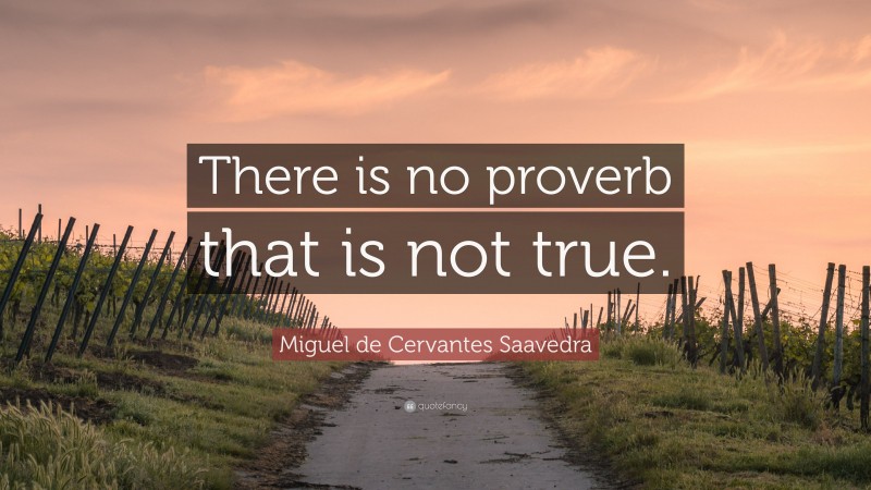 Miguel de Cervantes Saavedra Quote: “There is no proverb that is not true.”