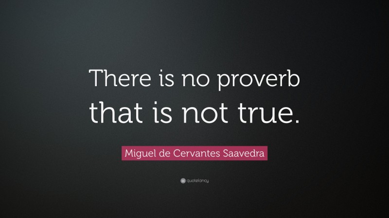 Miguel de Cervantes Saavedra Quote: “There is no proverb that is not true.”