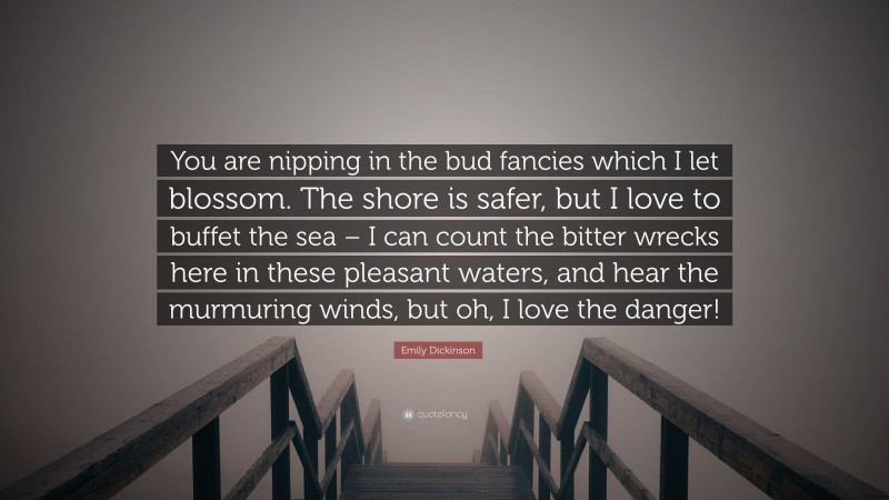 Emily Dickinson Quote: “You are nipping in the bud fancies which I let blossom. The shore is safer, but I love to buffet the sea – I can count the bitter wrecks here in these pleasant waters, and hear the murmuring winds, but oh, I love the danger!”