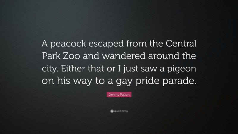 Jimmy Fallon Quote: “A peacock escaped from the Central Park Zoo and wandered around the city. Either that or I just saw a pigeon on his way to a gay pride parade.”