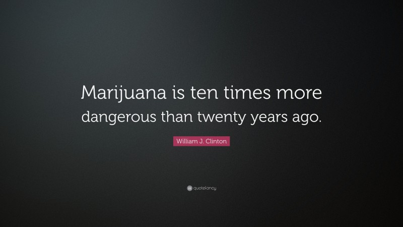 William J. Clinton Quote: “Marijuana is ten times more dangerous than twenty years ago.”