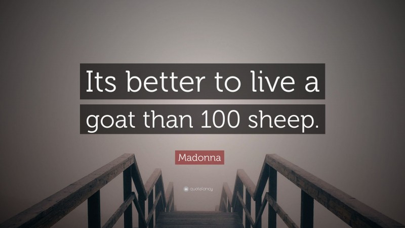 Madonna Quote: “Its better to live a goat than 100 sheep.”
