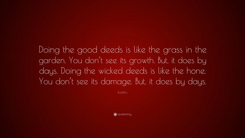 Buddha Quote: “Doing the good deeds is like the grass in the garden. You don’t see its growth. But, it does by days. Doing the wicked deeds is like the hone. You don’t see its damage. But, it does by days.”
