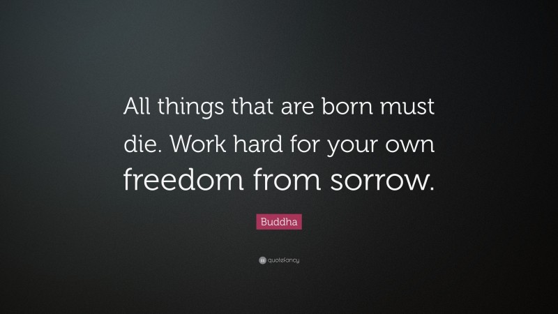 Buddha Quote: “All things that are born must die. Work hard for your own freedom from sorrow.”
