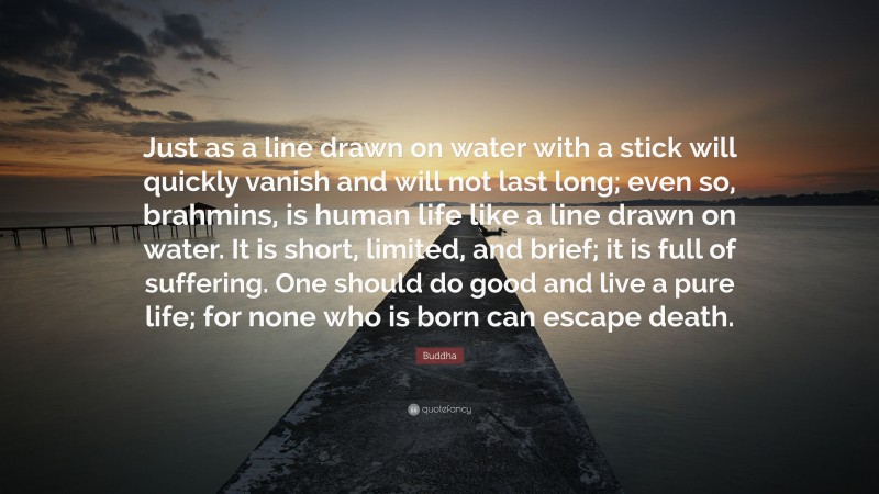 Buddha Quote: “Just as a line drawn on water with a stick will quickly vanish and will not last long; even so, brahmins, is human life like a line drawn on water. It is short, limited, and brief; it is full of suffering. One should do good and live a pure life; for none who is born can escape death.”