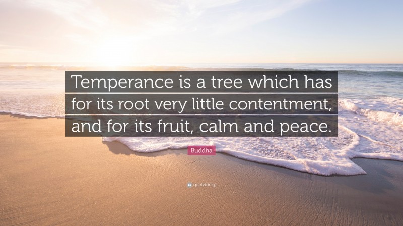 Buddha Quote: “Temperance is a tree which has for its root very little contentment, and for its fruit, calm and peace.”