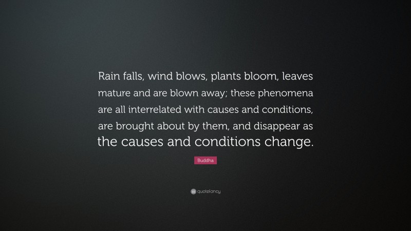 Buddha Quote: “Rain falls, wind blows, plants bloom, leaves mature and are blown away; these phenomena are all interrelated with causes and conditions, are brought about by them, and disappear as the causes and conditions change.”