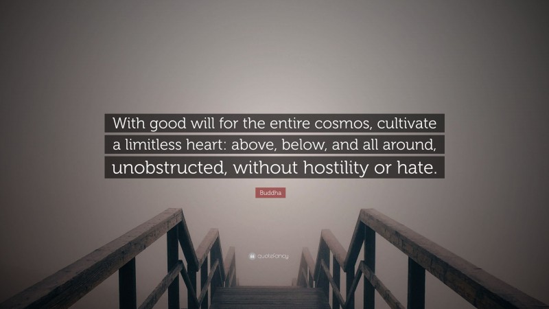 Buddha Quote: “With good will for the entire cosmos, cultivate a limitless heart: above, below, and all around, unobstructed, without hostility or hate.”