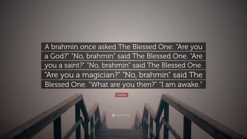 Buddha Quote: “A brahmin once asked The Blessed One: “Are you a God?” “No, brahmin” said The Blessed One. “Are you a saint?” “No, brahmin” said The Blessed One. “Are you a magician?” “No, brahmin” said The Blessed One. “What are you then?” “I am awake.””