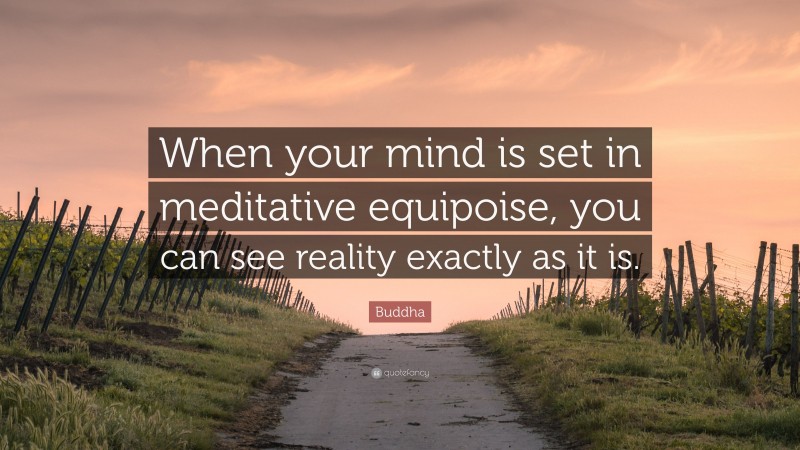 Buddha Quote: “When your mind is set in meditative equipoise, you can see reality exactly as it is.”