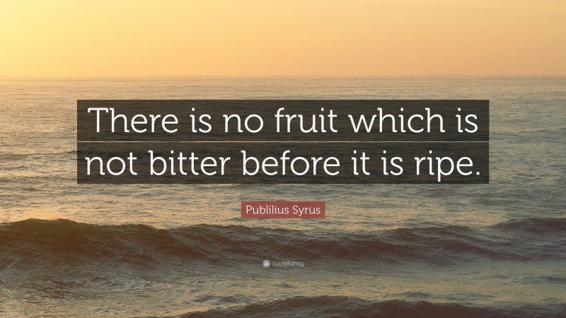 Publilius Syrus Quote: “There is no fruit which is not bitter before it is ripe.”