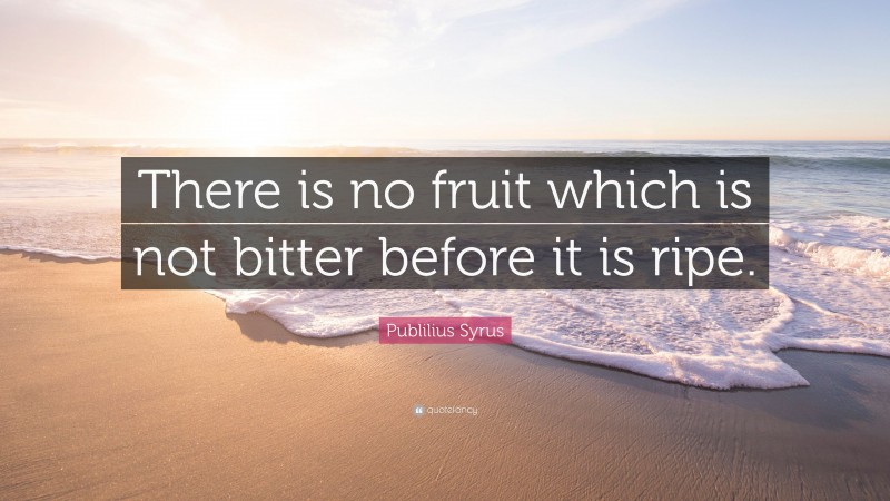Publilius Syrus Quote: “There is no fruit which is not bitter before it is ripe.”