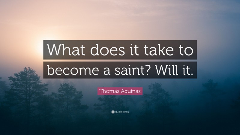 Thomas Aquinas Quote: “What does it take to become a saint? Will it.”