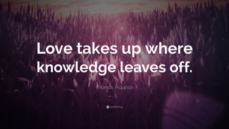 Thomas Aquinas Quote: “Love takes up where knowledge leaves off.”