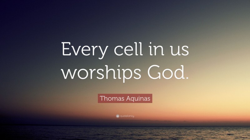 Thomas Aquinas Quote: “Every cell in us worships God.”