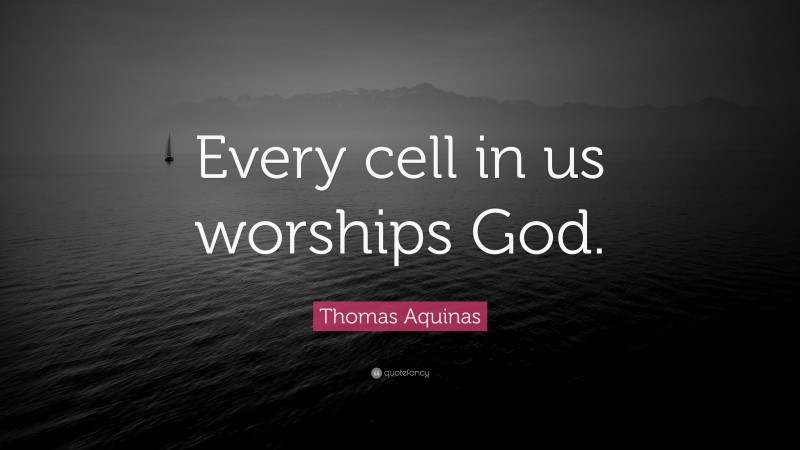 Thomas Aquinas Quote: “Every cell in us worships God.”
